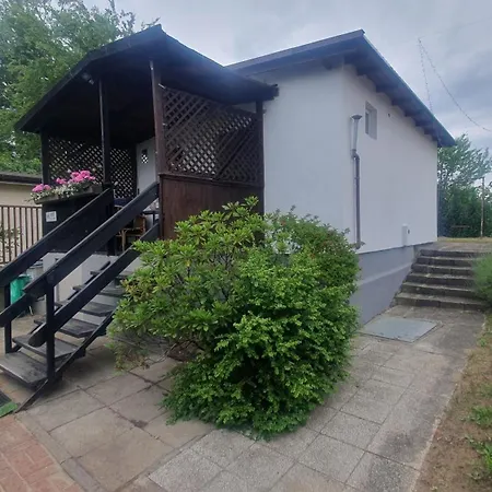 Letni Zakatek - Morski *